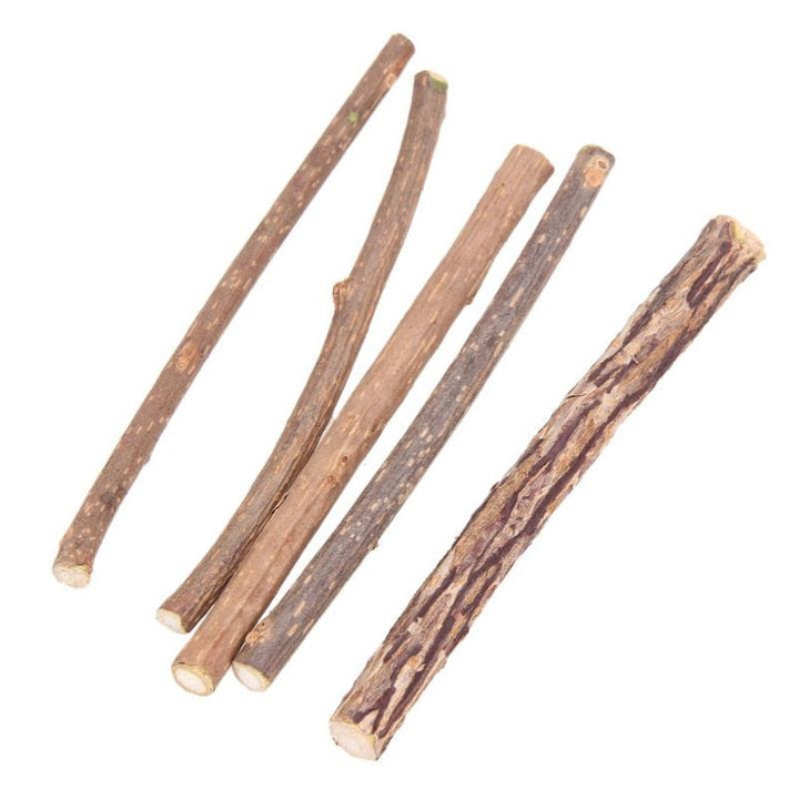 Catnip Teeth Brushing Sticks for Cat - Trendha