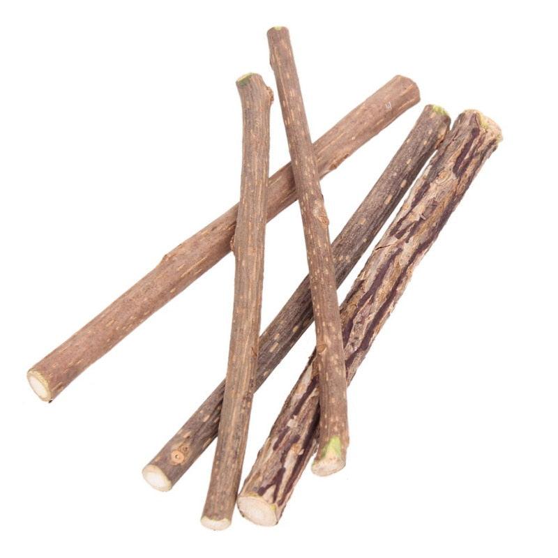 Catnip Teeth Brushing Sticks for Cat - Trendha