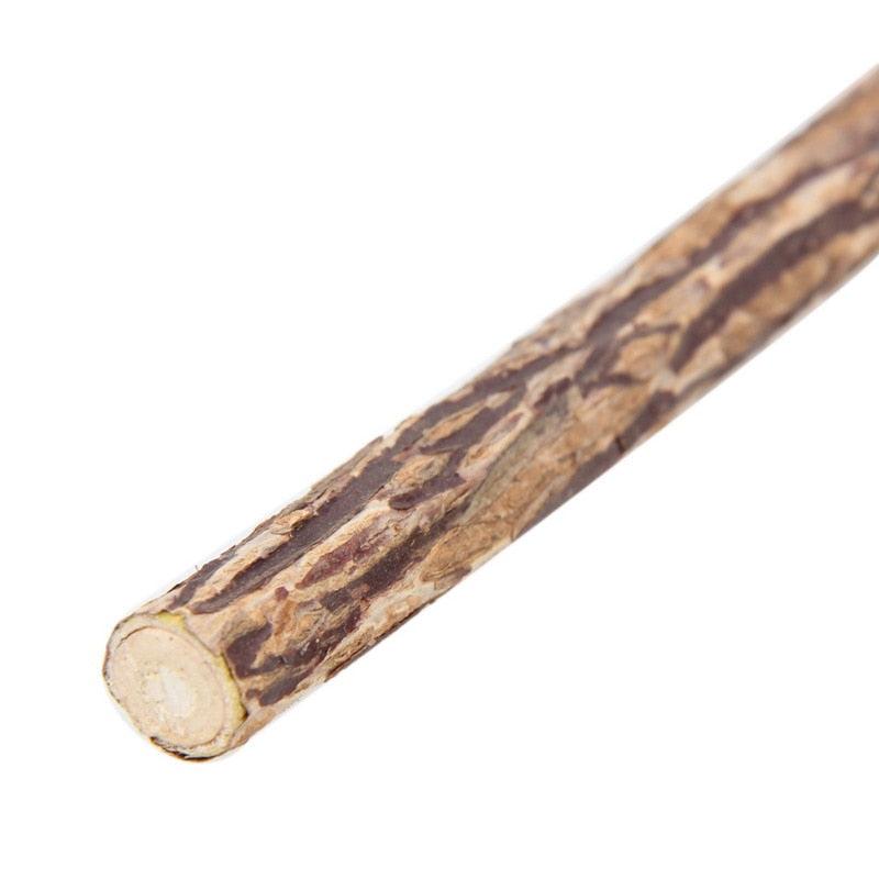 Catnip Teeth Brushing Sticks for Cat - Trendha