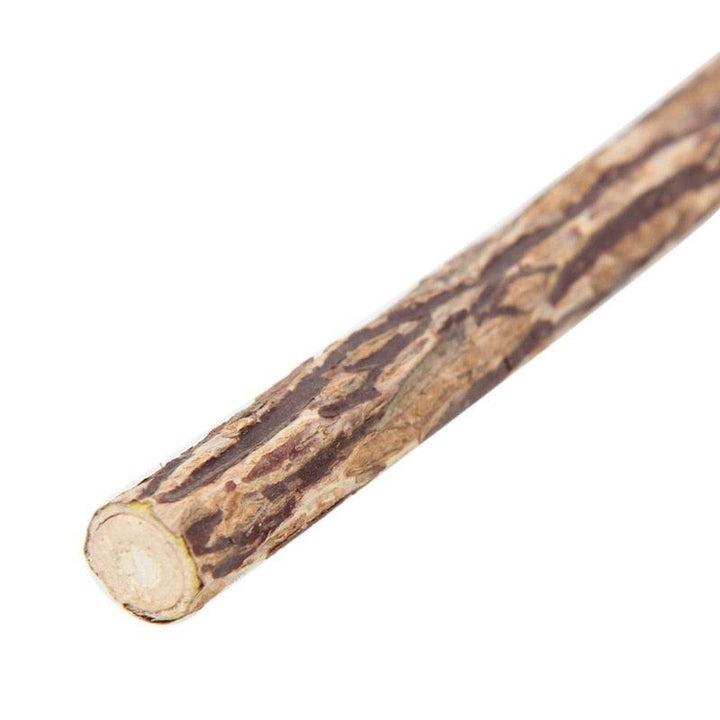 Catnip Teeth Brushing Sticks for Cat - Trendha