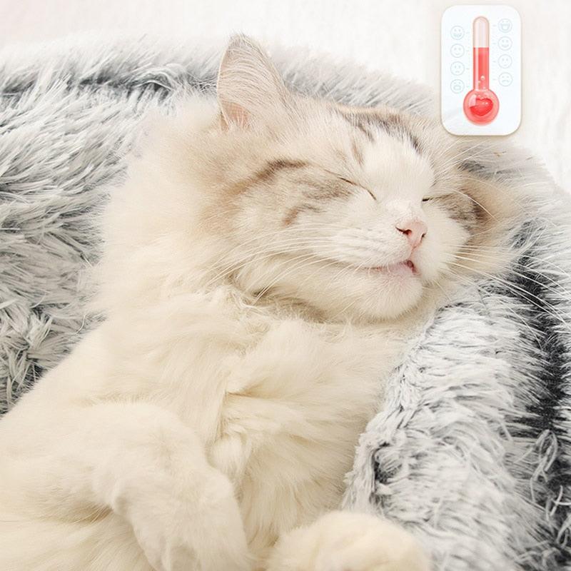 Cats Round Plush Bed - Trendha