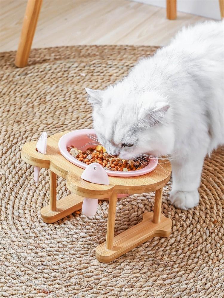 Ceramic Pet Bowl with Tilted Base - Trendha
