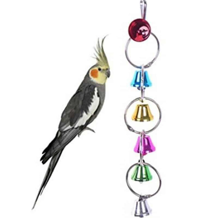 Chain Styled Bird Toy - Trendha