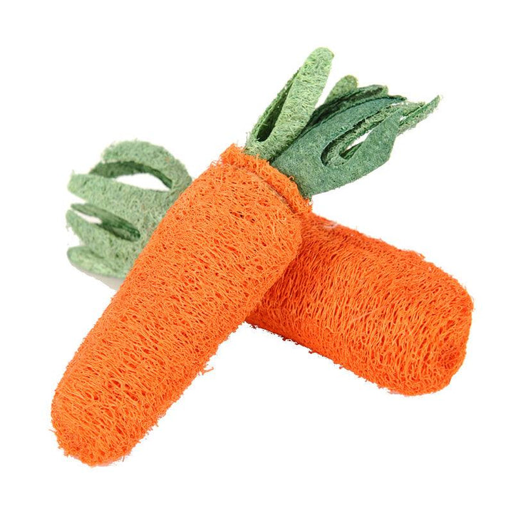 Chew Carrot Shaped Toy - Trendha