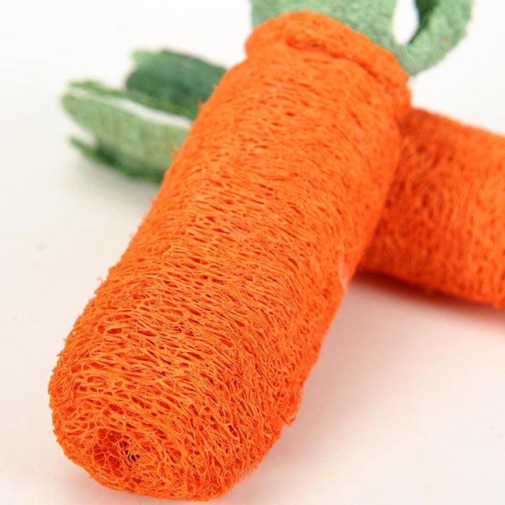 Chew Carrot Shaped Toy - Trendha