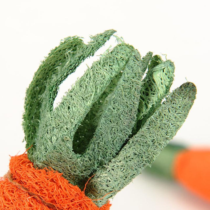 Chew Carrot Shaped Toy - Trendha