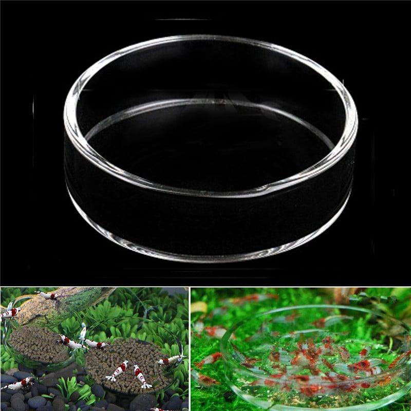 Clear Glass Feeding Container - Trendha