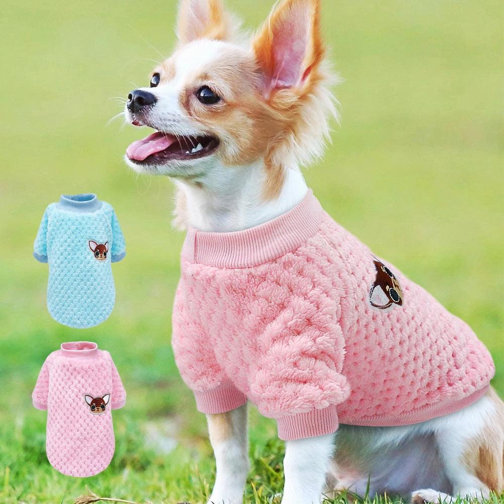Cute Winter Clothes For Small Dogs