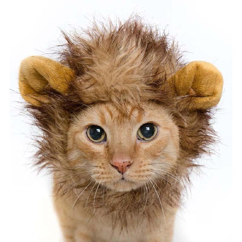 Funny Warm Themed Cat's Hat