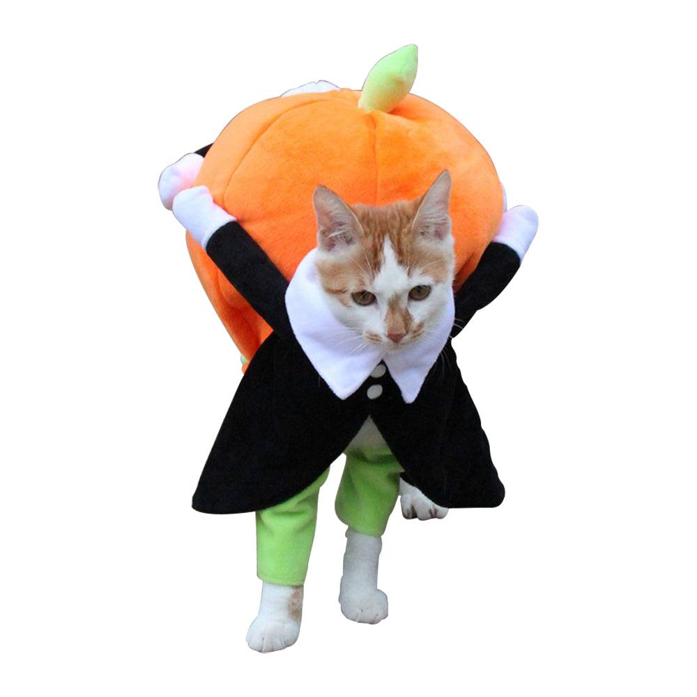 Halloween Pumpkin Costume for Cats