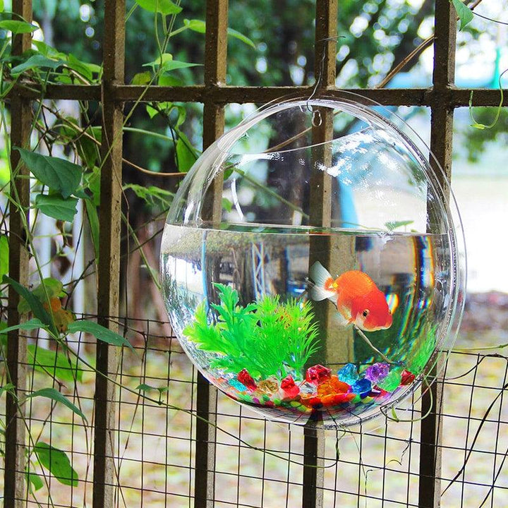 Hanging Globular Acrylic Aquarium - Trendha