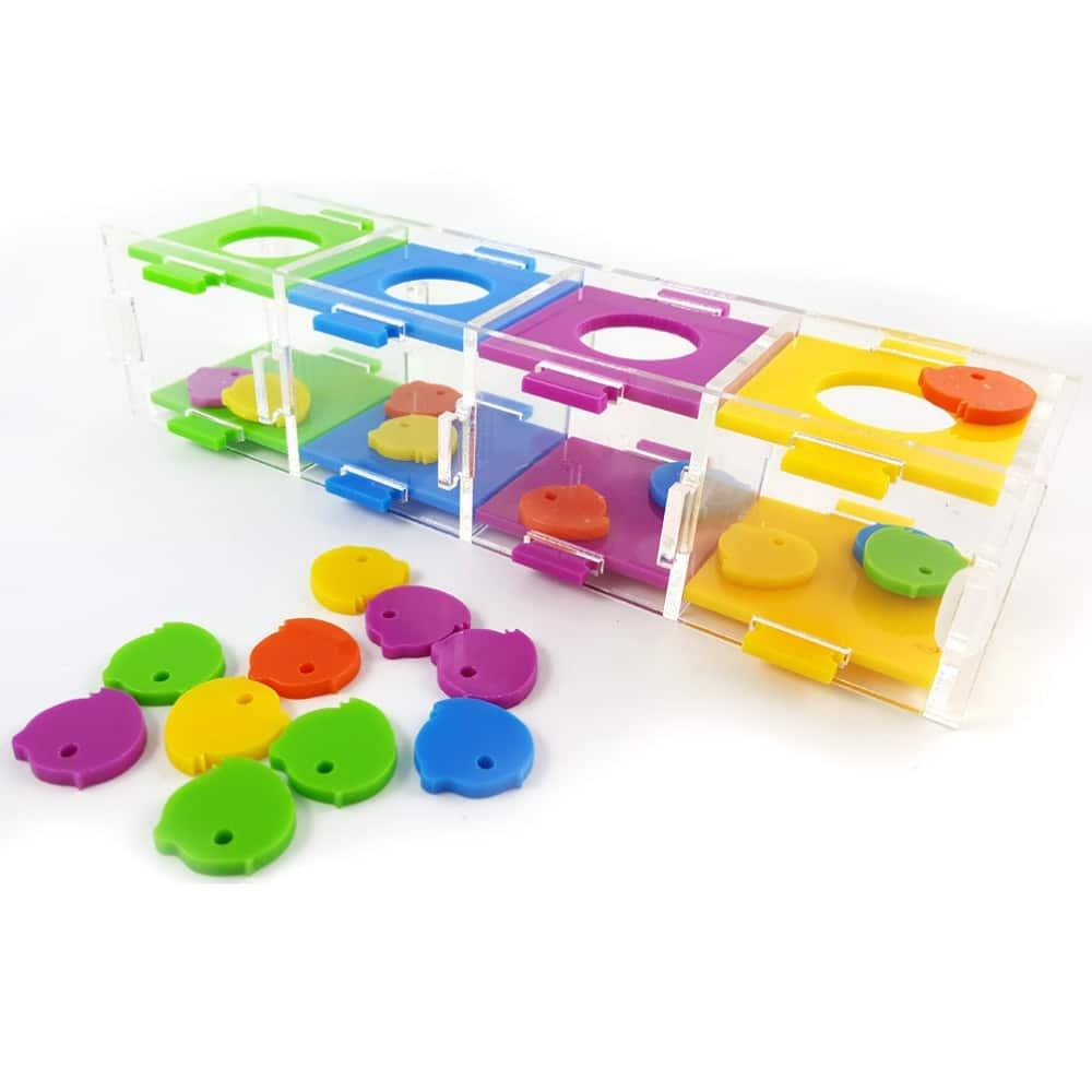 Intellectual Training Toy for Parrots - Trendha