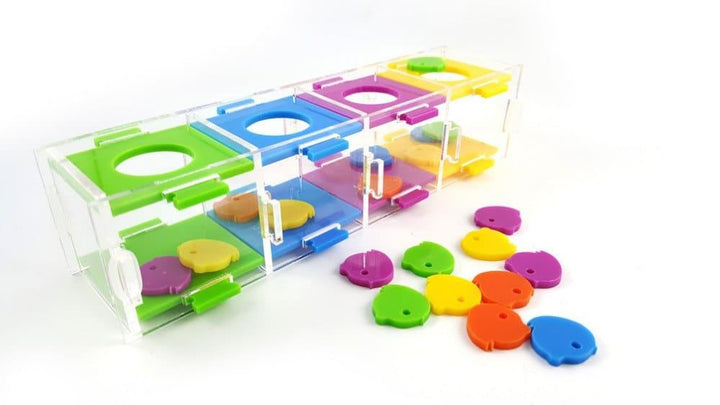Intellectual Training Toy for Parrots - Trendha