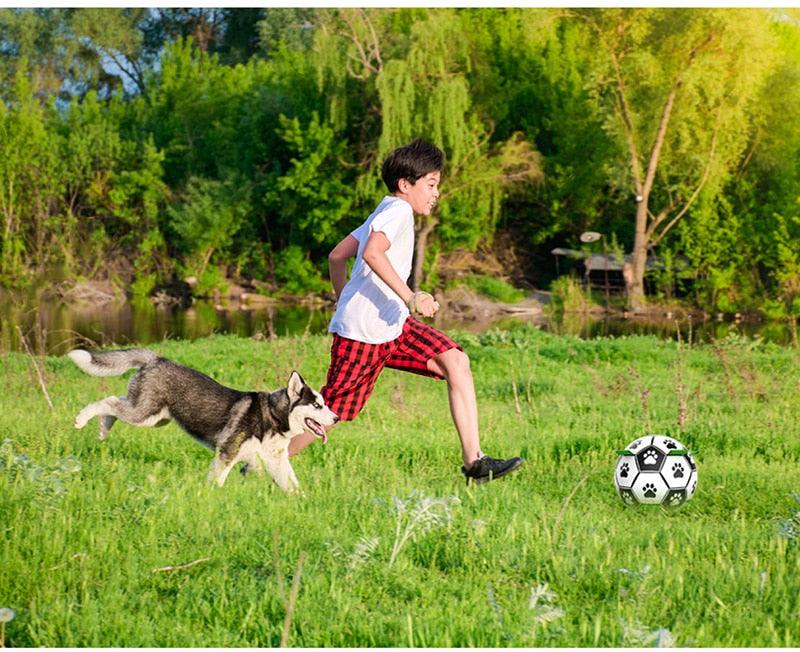 Interactive Dog Football Toy - Trendha