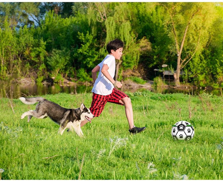 Interactive Dog Football Toy - Trendha