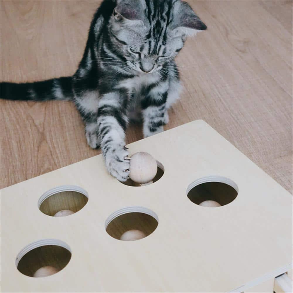 Interactive Wooden Cat Popping Toy - Trendha