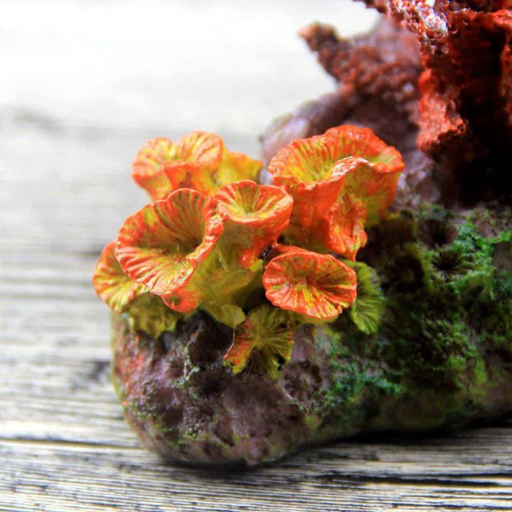 Living Reef Aquarium Decor - Trendha