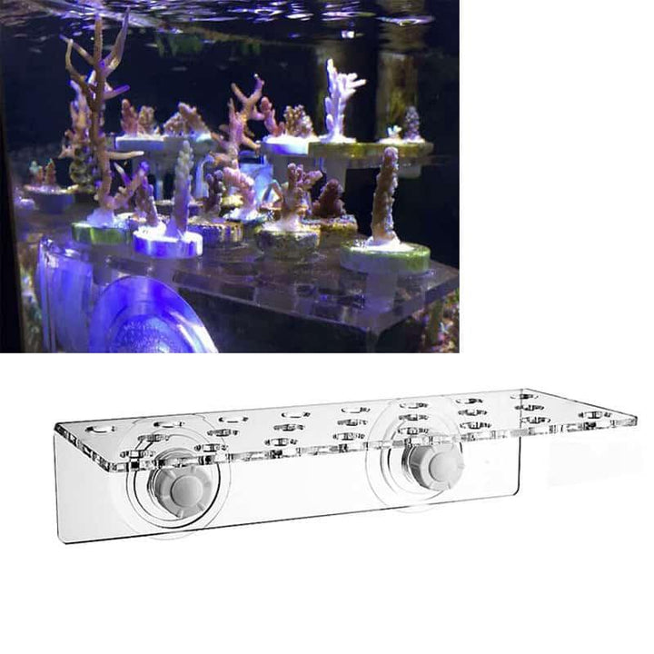 Magnet Fix Aquarium Stand - Trendha