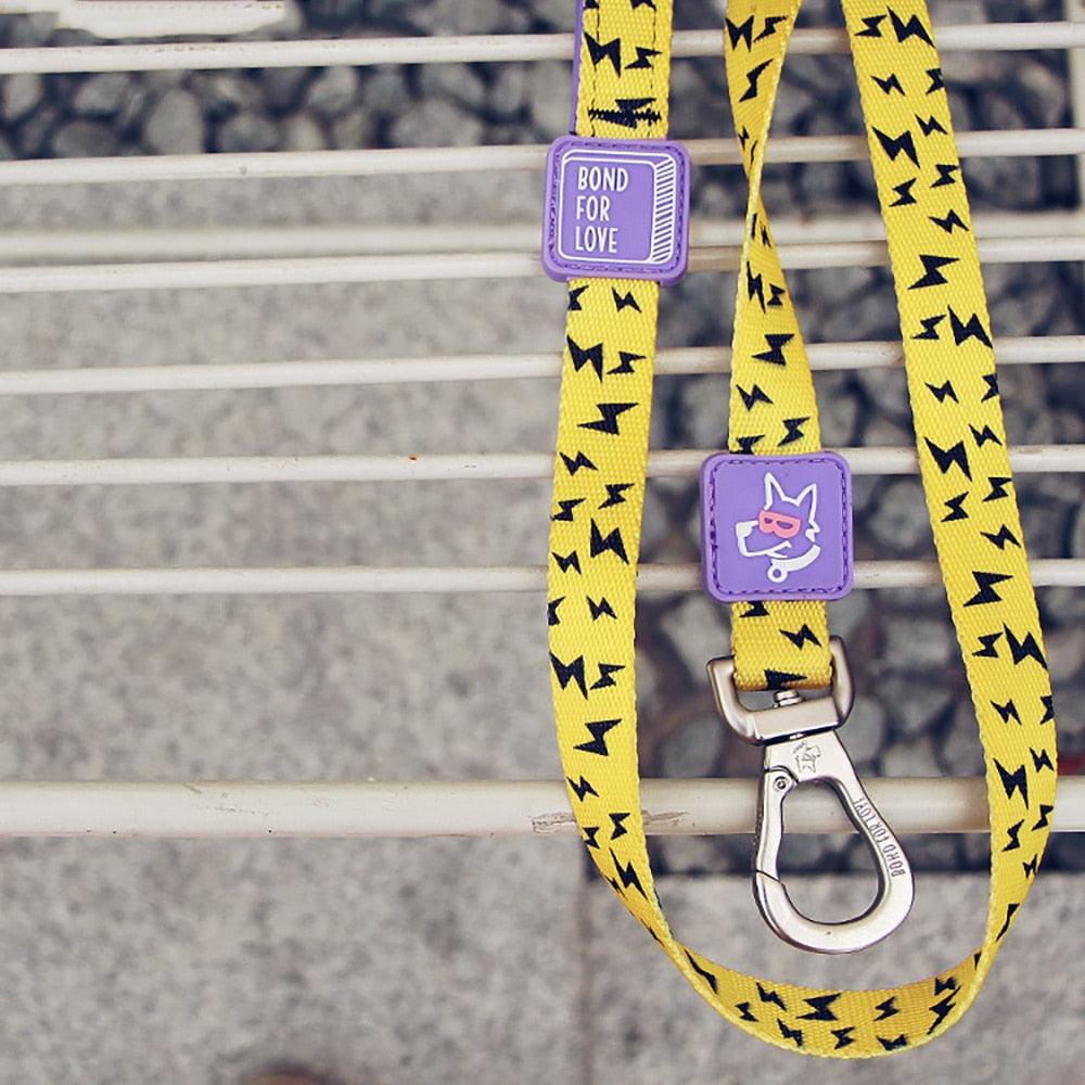 Medium Dog Walking Leash - Trendha