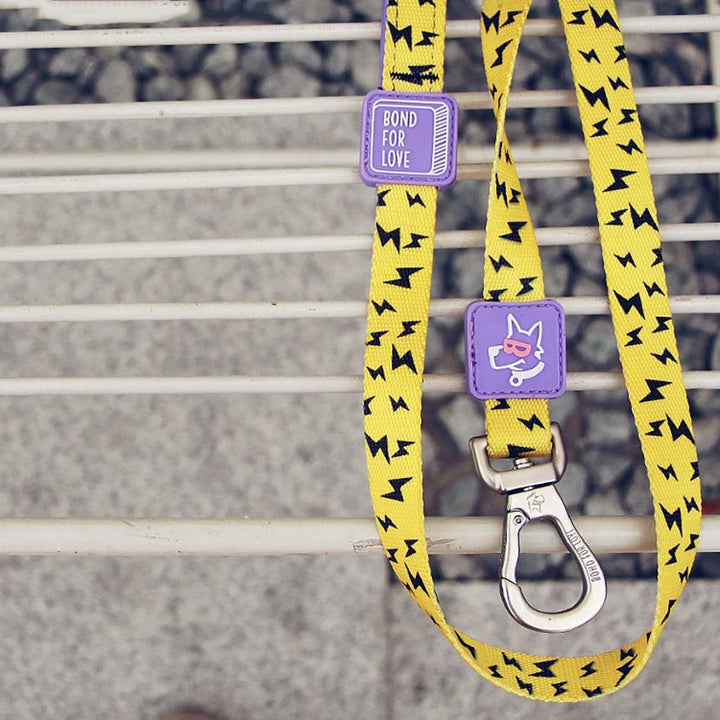 Medium Dog Walking Leash - Trendha
