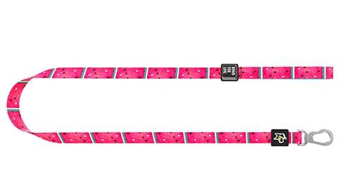 Medium Dog Walking Leash - Trendha