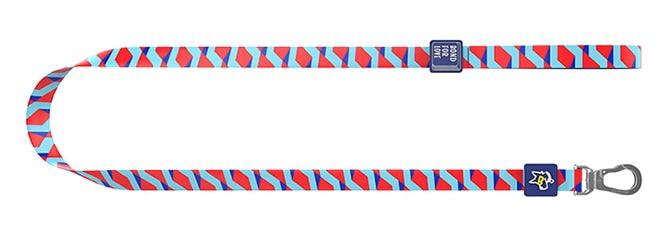 Medium Dog Walking Leash - Trendha
