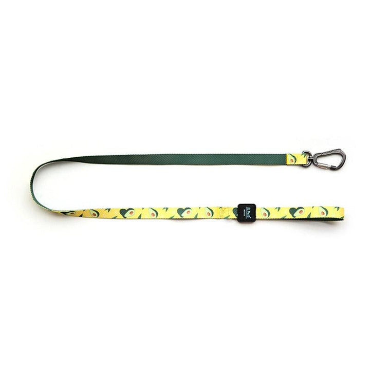 Medium Dog Walking Leash - Trendha