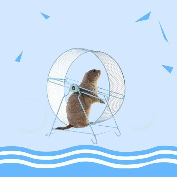 Metal Exrcise Wheel for Small Pets - Trendha