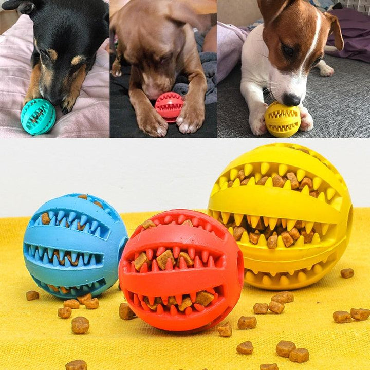 Natural Rubber Interactive Ball - Trendha
