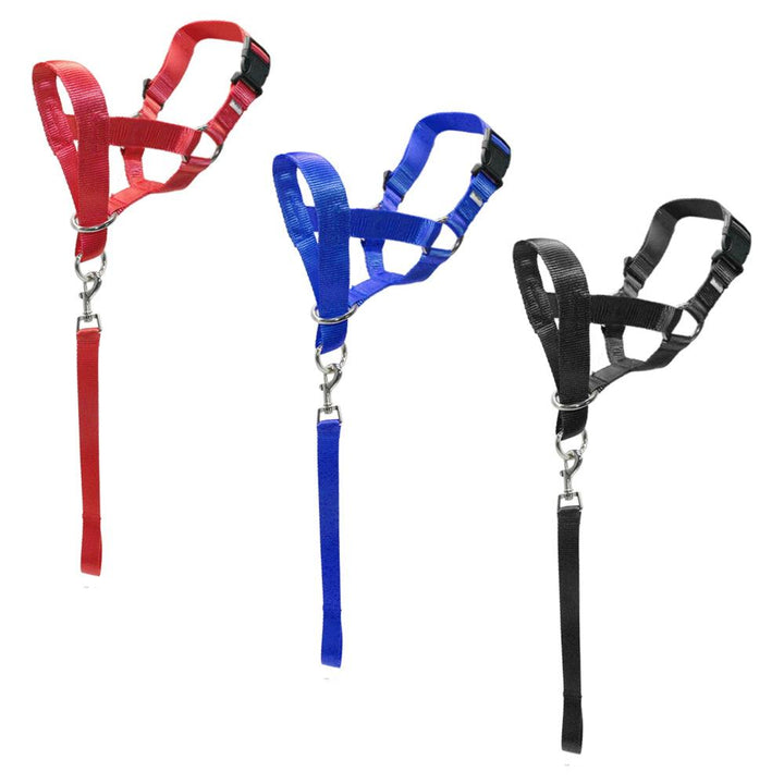 Nylon Adjustable Dog's Muzzle with Leash - Trendha