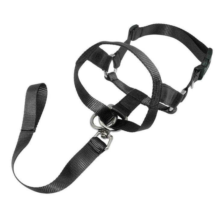 Nylon Adjustable Dog's Muzzle with Leash - Trendha