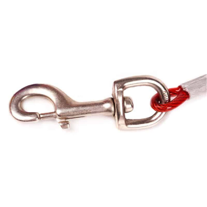 Outdoor Anti-Bite Tie Out Cable - Trendha