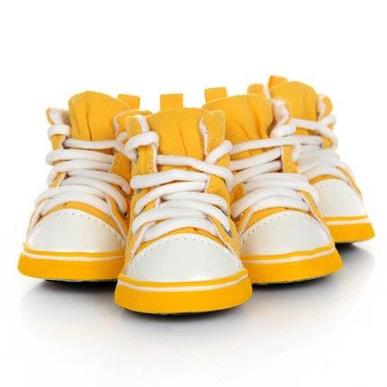 Pet Candy Color Shoes - Trendha