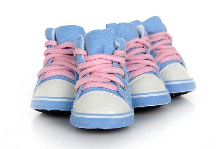 Pet Candy Color Shoes - Trendha