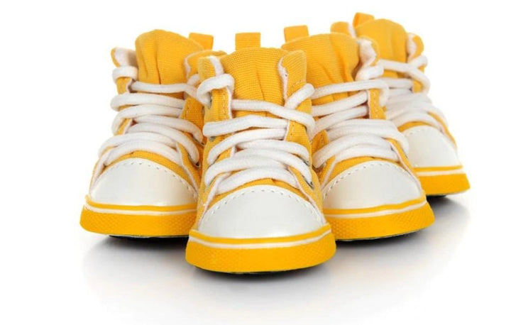 Pet Candy Color Shoes - Trendha