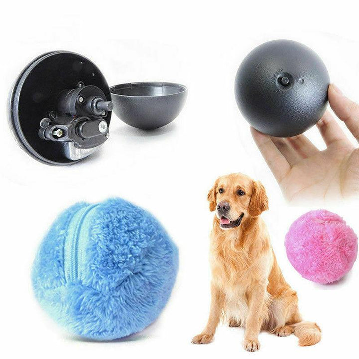 Pet Electric Toy Ball - Trendha