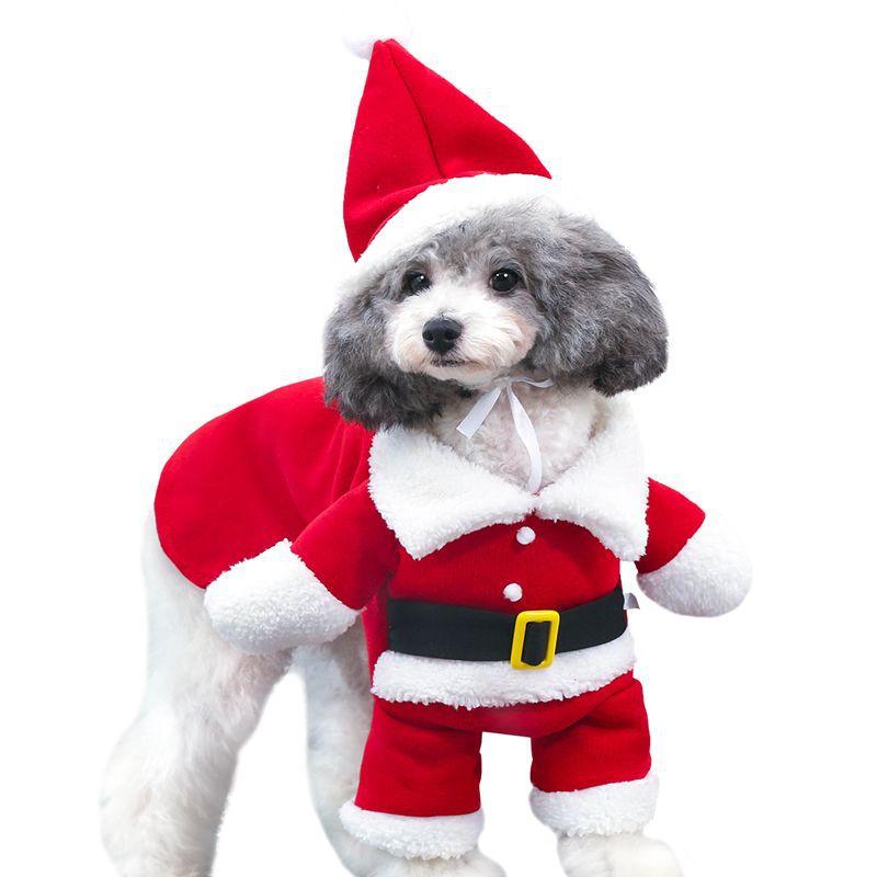 Santa Claus Costume for Dogs