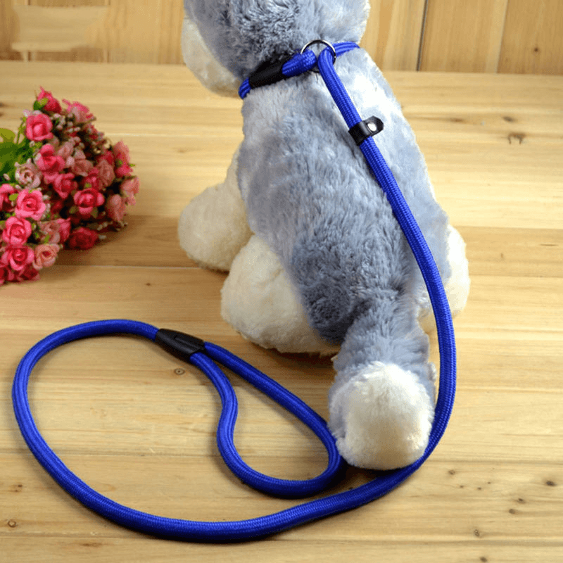 130 cm Nylon Rope Slip Lead for Dogs