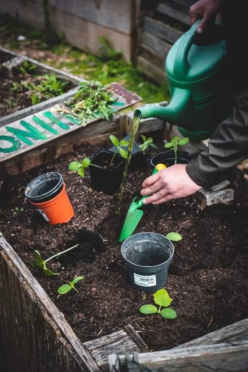 Best Place for Home and Garden Tool Shopping 2021 - Trendha