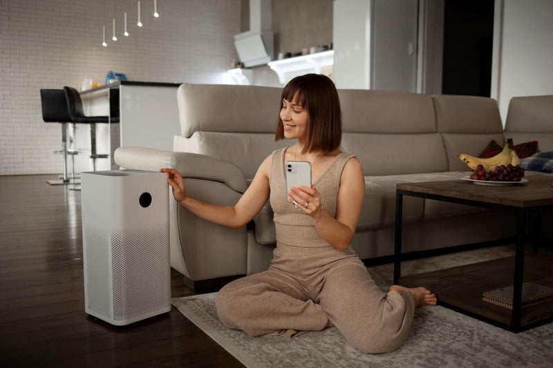 From Damp to Dry: Mastering the Art of Moisture Control with Dehumidifiers - Trendha