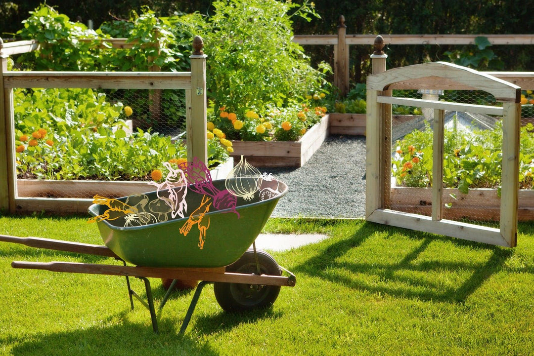 How to Start a Vegetable Garden in 6 Steps? - Trendha