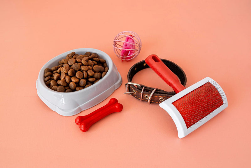 Pet Care Made Easy: Useful Accessories Every Pet Owner Needs