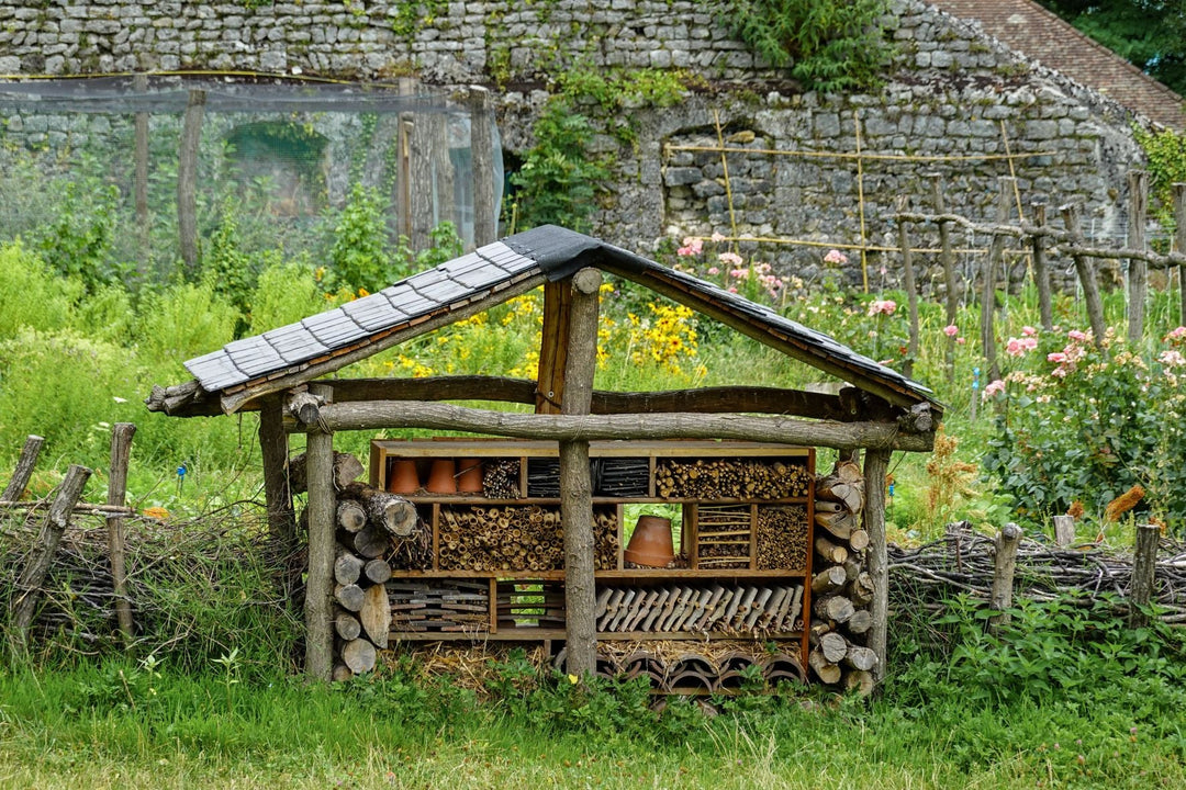 Backyard Biodiversity: How Small Gardens Can Support Local Wildlife
