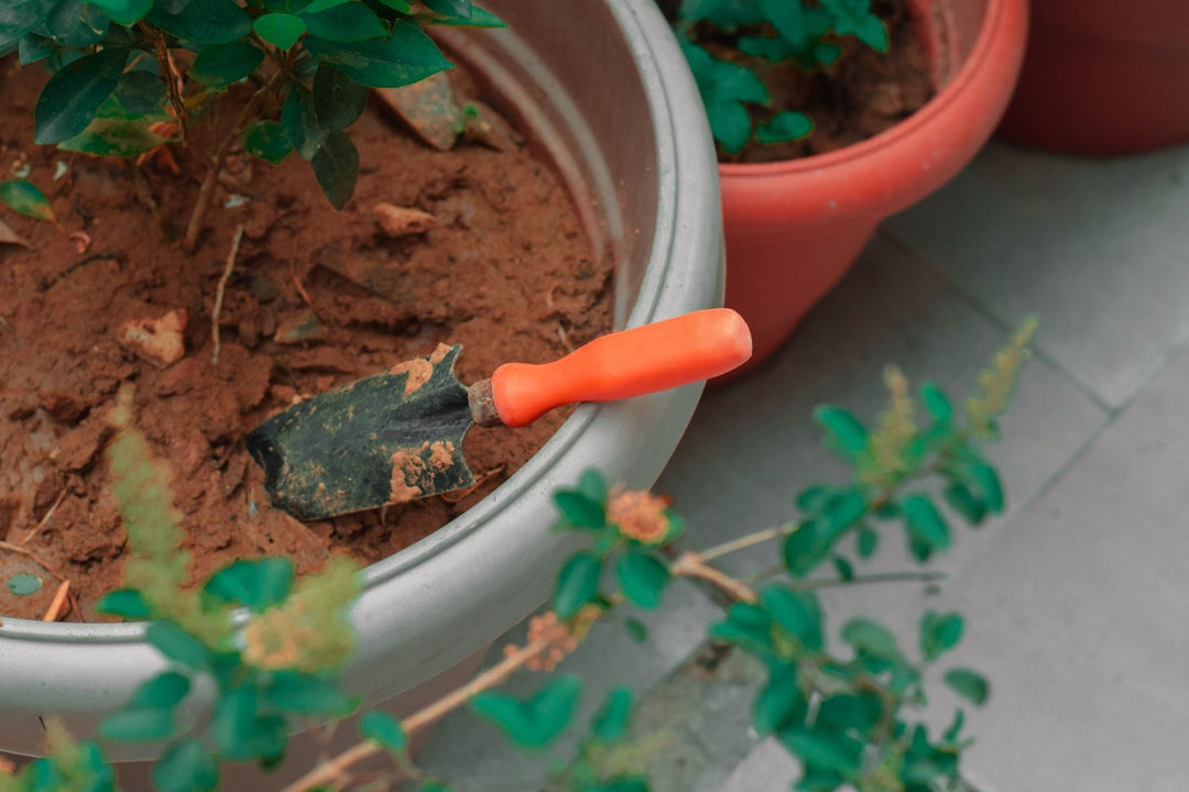 The "Right Tool for the Job" Problem: How Using the Wrong Garden Tool Damages Plants