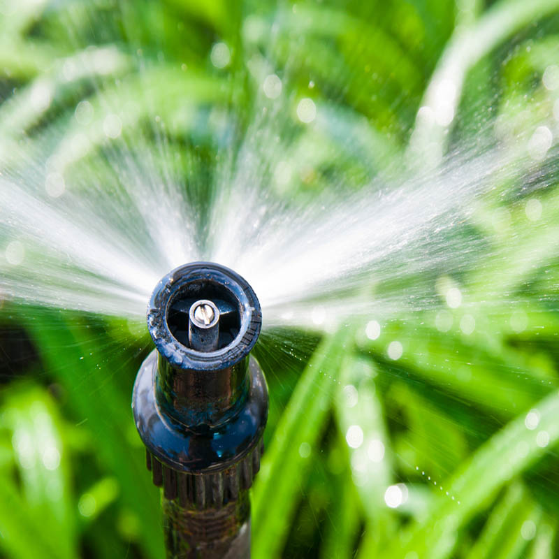 Watering & Irrigation - Trendha