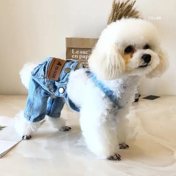 Denim Dog Jacket