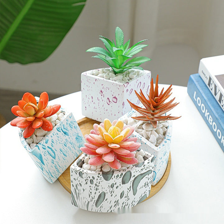 Ceramic Water Transfer Printing Succulent Flower Pot With Bamboo Tray