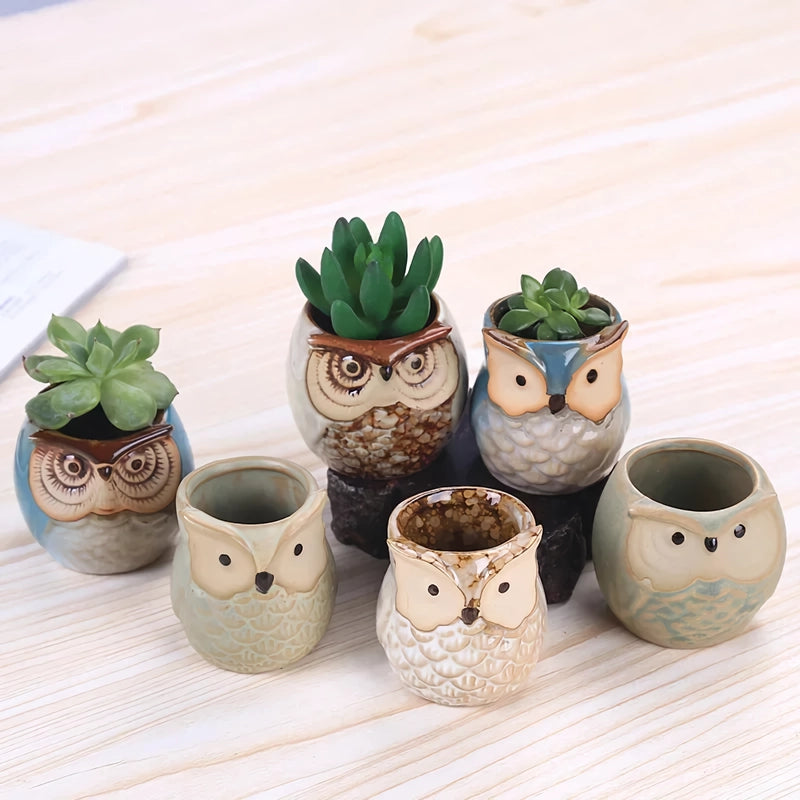 Mini Owl Ceramic Plant Planter