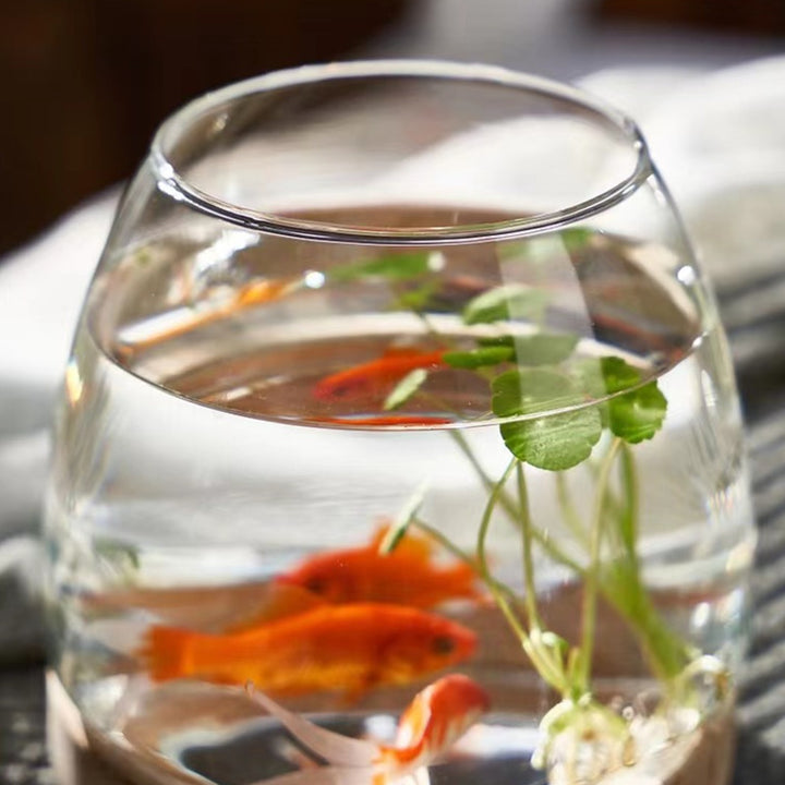 Elegant Glass Desktop Fish Tank