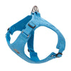 color: Blue